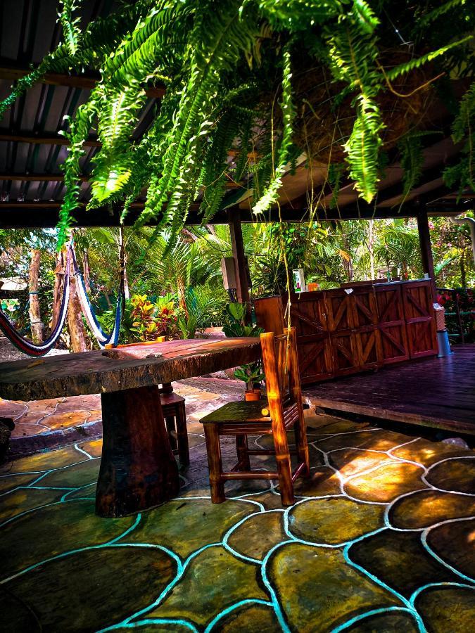 Momotus Glamping Hotel Florencia Buitenkant foto