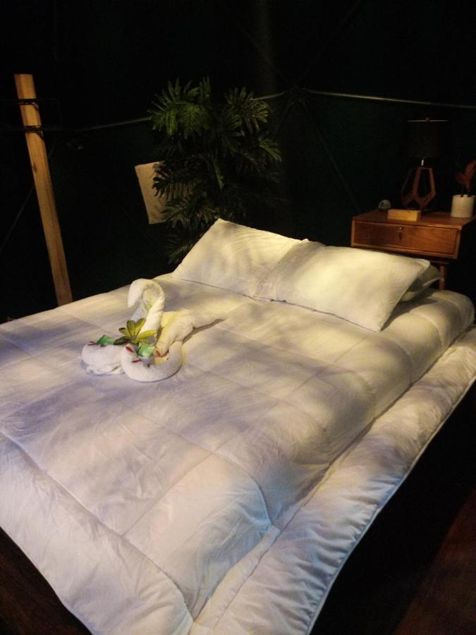 Momotus Glamping Hotel Florencia Buitenkant foto