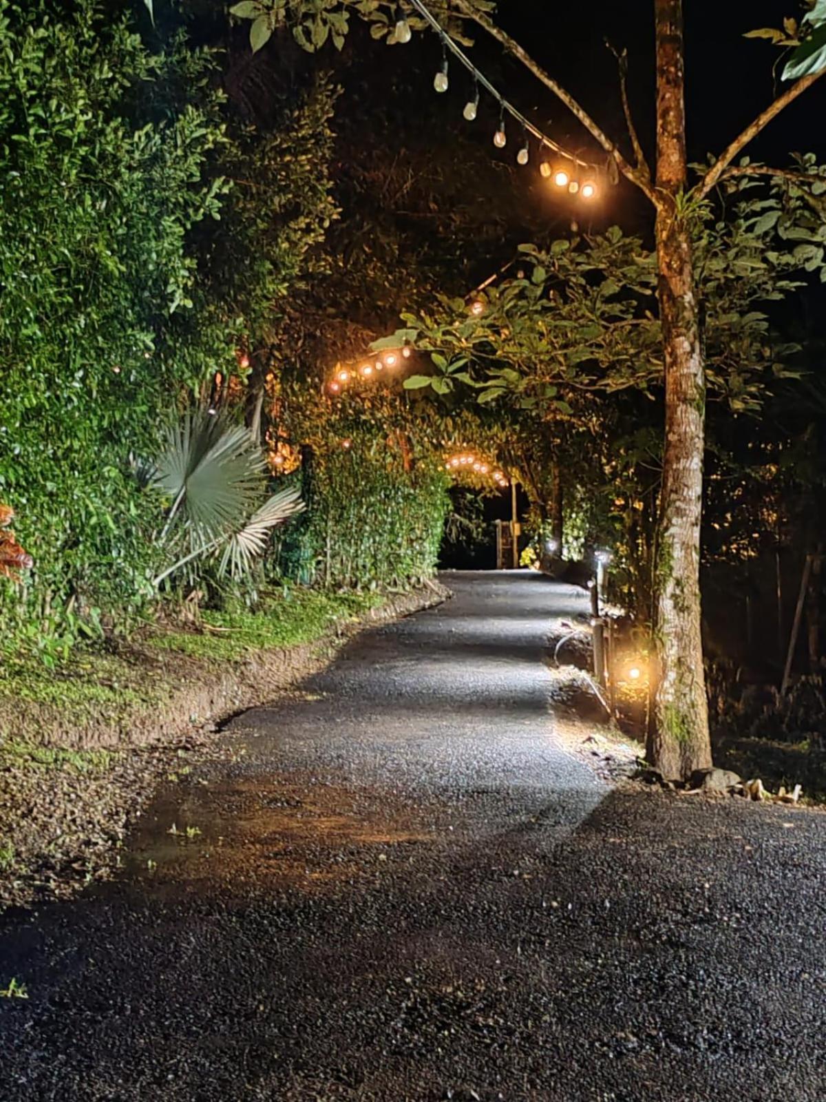Momotus Glamping Hotel Florencia Buitenkant foto